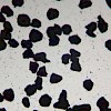 显微镜炭黑粒径检测,管材炭黑分散度检测方案