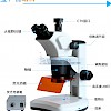 FTL-7063A三目立体体视荧光显微镜（带荧光模块）