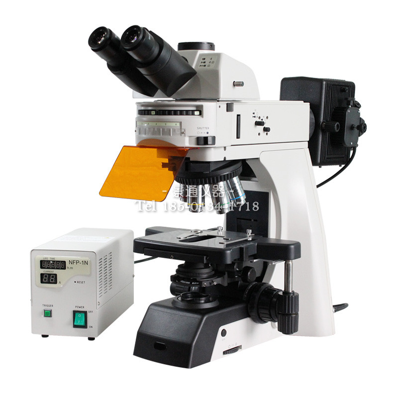 FR-910科研级荧光显微镜